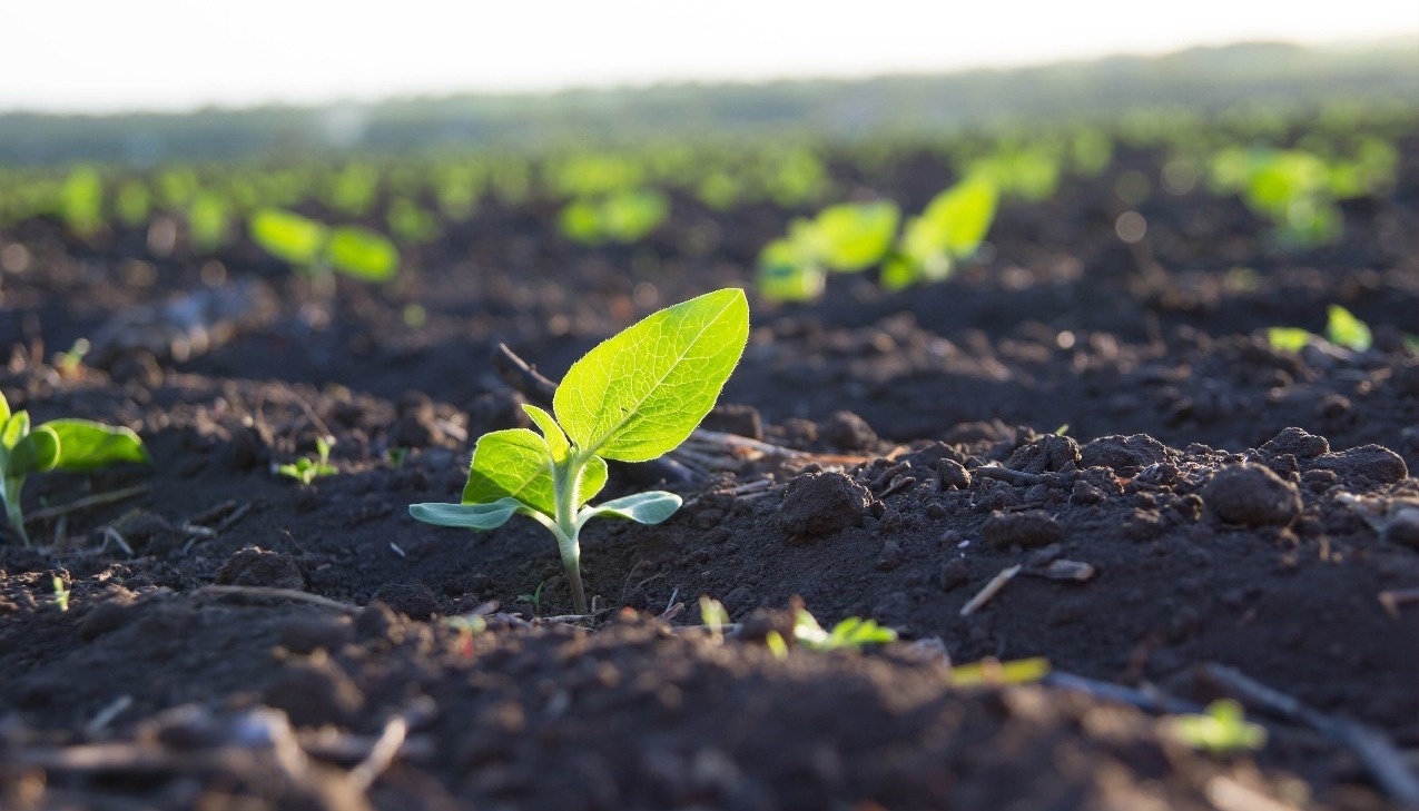 soil health, precision agriculture