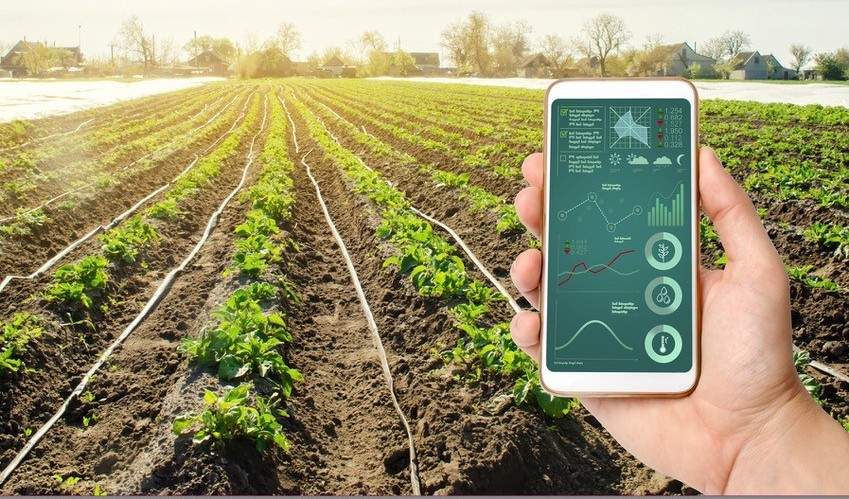 Utilising artificial intelligence (AI) for effective decision making in agriculture
