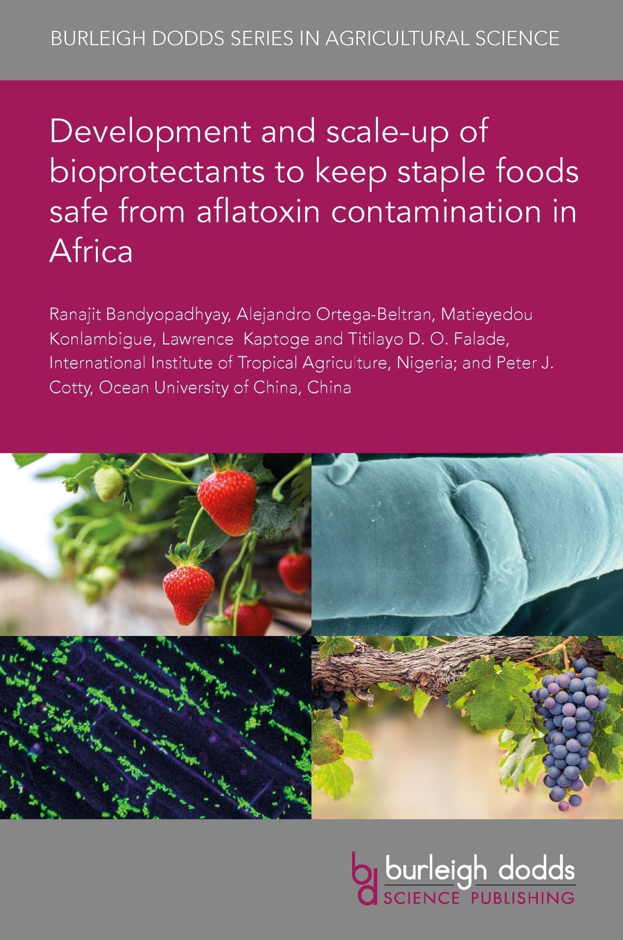 Development and scale-up of bioprotectants to keep staple foods safe from aflatoxin contamination in Africa