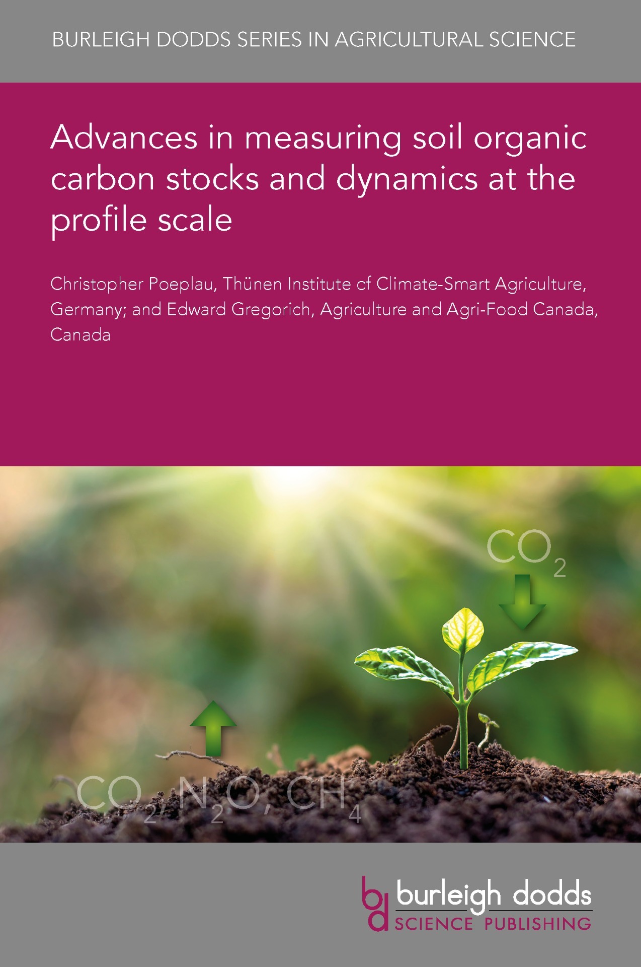Advances in measuring soil organic carbon stocks and dynamics at the profile scale