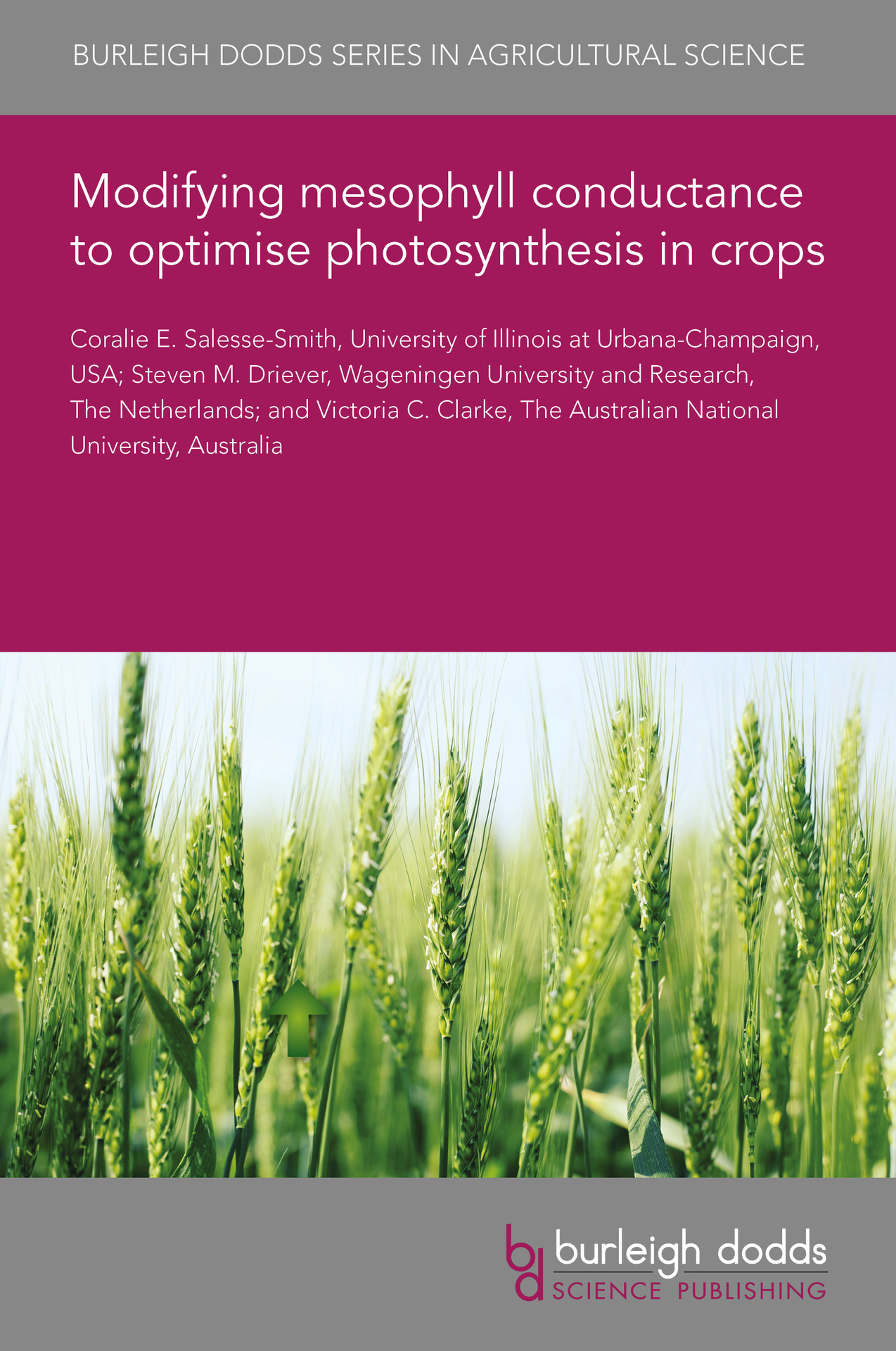 Modifying mesophyll conductance to optimise photosynthesis in crops