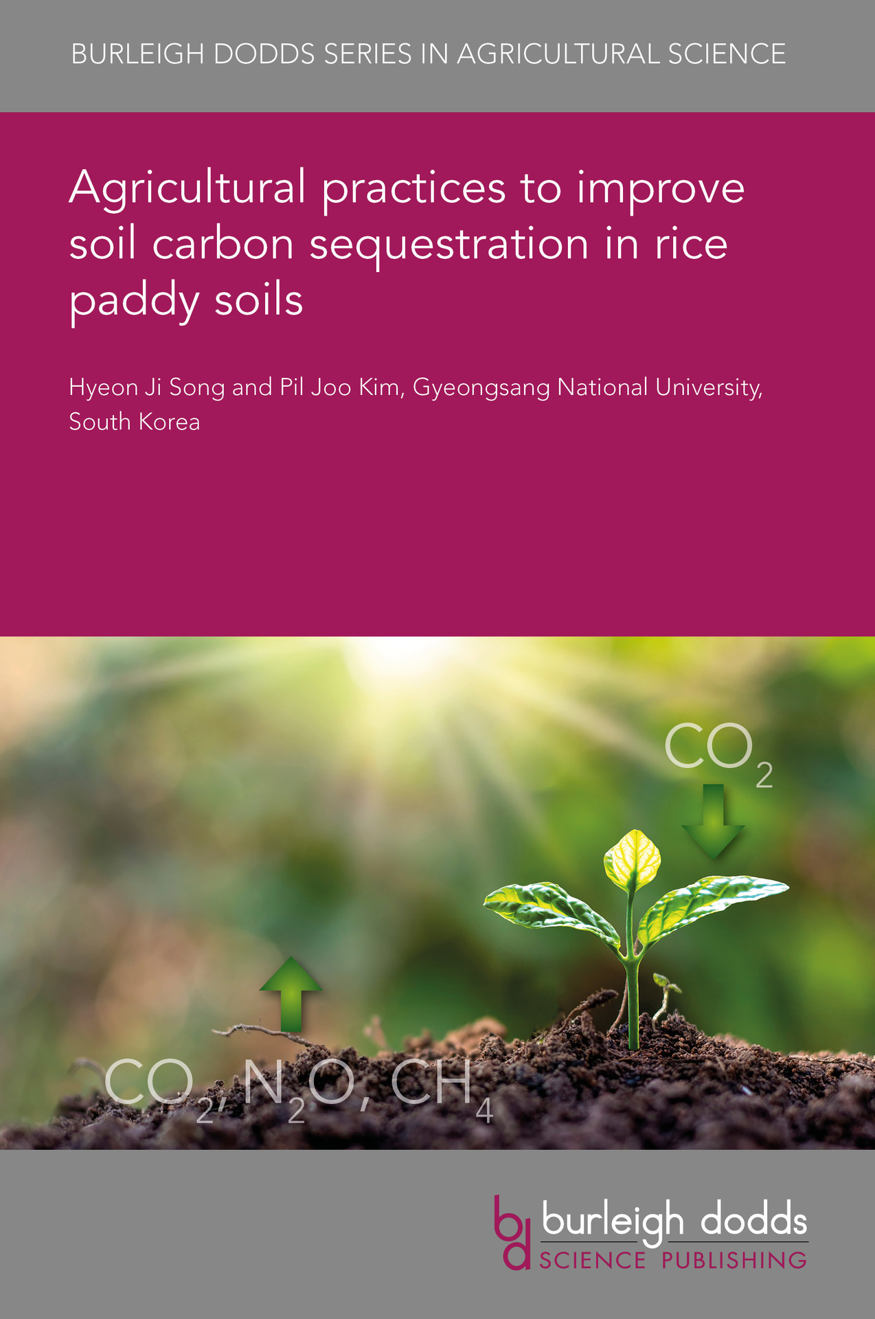 Agricultural practices to improve soil carbon sequestration in rice paddy soils