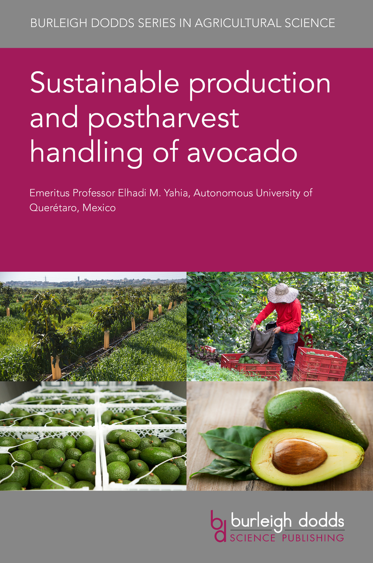 book cover, four images, avocado plantation, farmer harvesting avocados, avocados packaged, fresh avocado halved