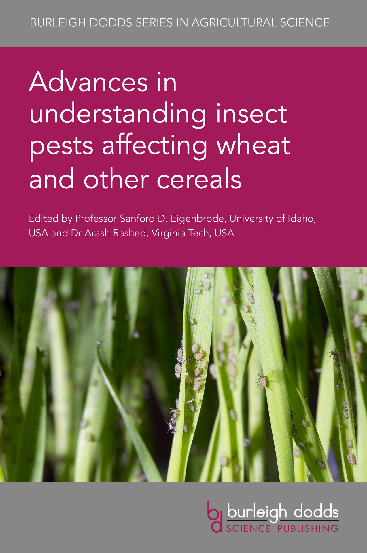 Advances in understanding insect pests affecting wheat and other cereals - Cover image
