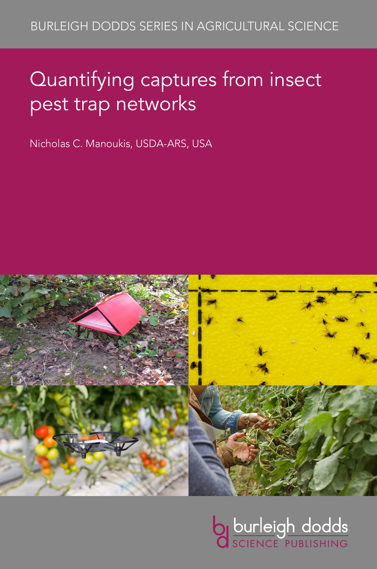 Quantifying captures from insect pest trap networks
