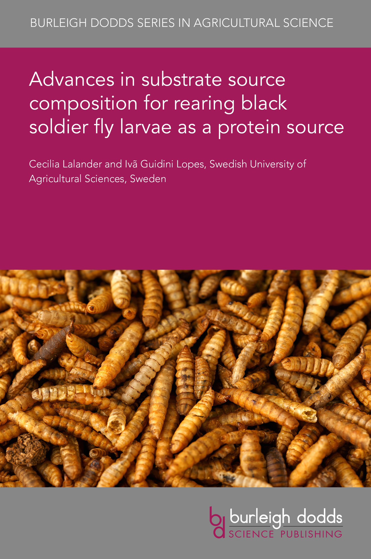 Advances in substrate source composition for rearing black soldier fly larvae as a protein source