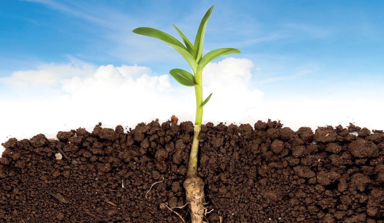 soil, soil health, soil research